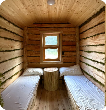 Holistic Hive Healing 9.fw